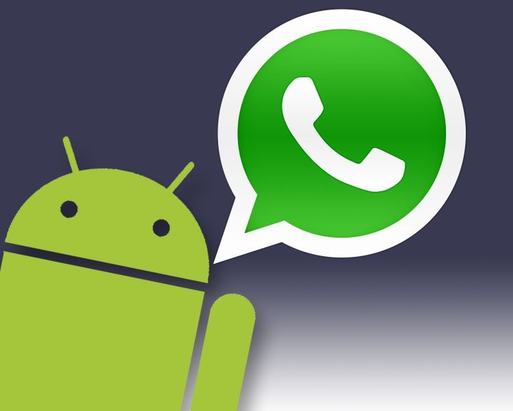  Como ativar capacidade de 256 membros em grupos do WhatsApp
