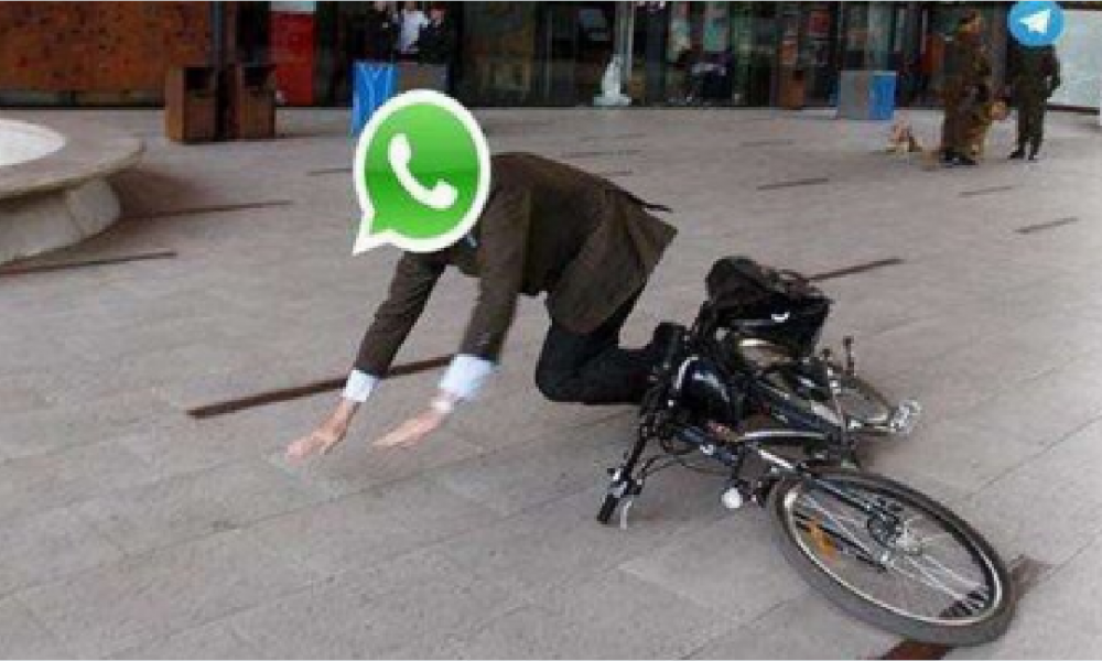  Whatsapp passa por instabilidade no feriado de finados
