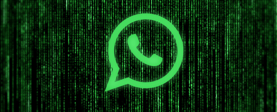  ALERTA! Golpe do WhatsApp já faturou mais de 3,6 MILHÕES de reais!