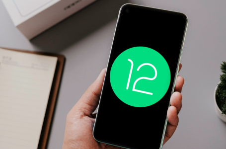 Android 12: veja quais smartphones serão atualizados