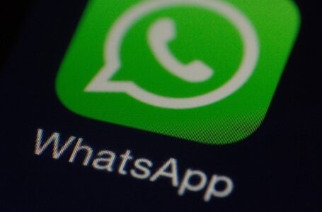 WhatsApp libera reações nas mensagens e envio de arquivos de até 2 GB